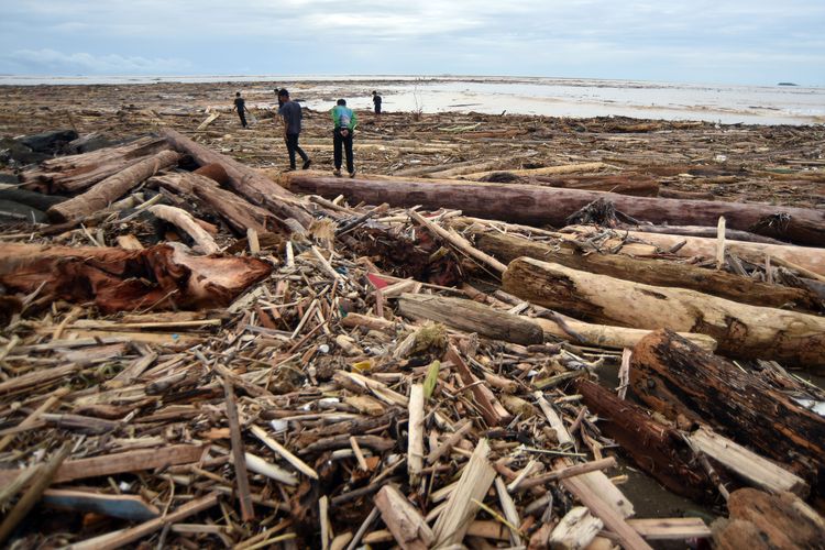 DPR Desak Investigasi Menyeluruh Penyebab Banjir dan Longsor Massif di Sumatera